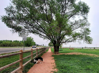 Severance Dog Park