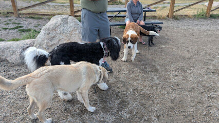 Maryland Creek Dog Park