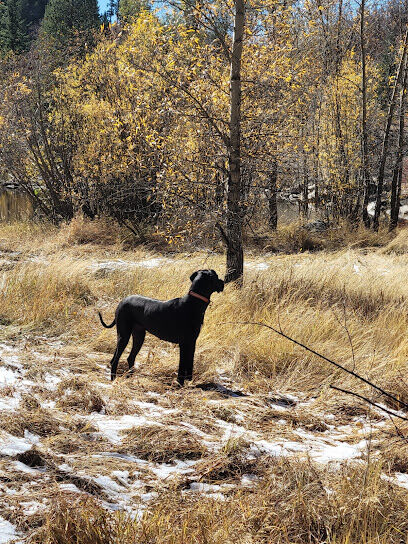 Spring Creek Dog Park at the Lower Pond