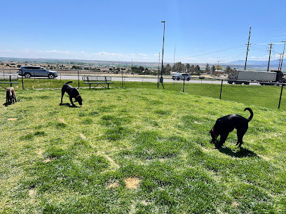 Dog Park at Love’s Travel Stops