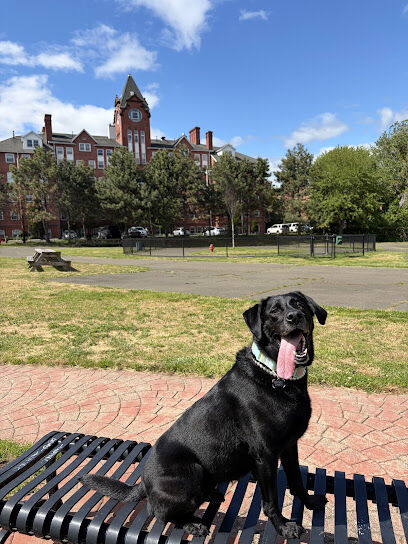 Alice Street Dog Run