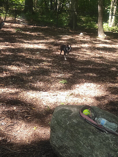 Veteran's Dog Park