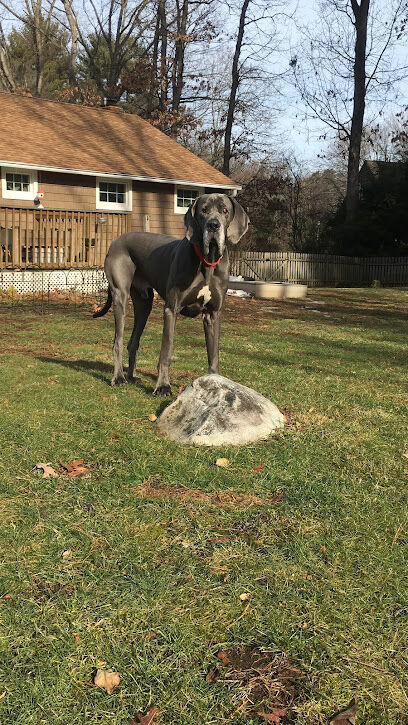 The Sniff Stop Private Dog Park