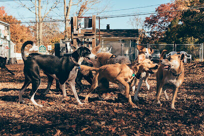 Bailey’s Dog Park