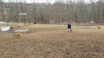 Colchester Dog Park