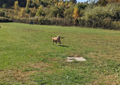 Danbury Dog Park