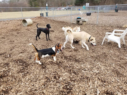 Phaiah's Dog Park