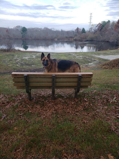 Paw Dog Park