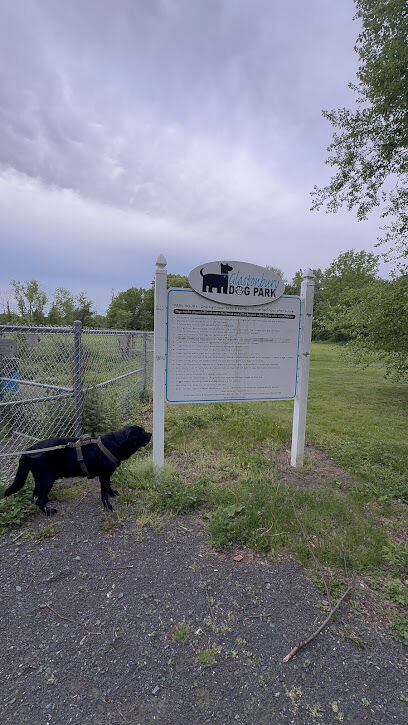 Glastonbury Dog Park