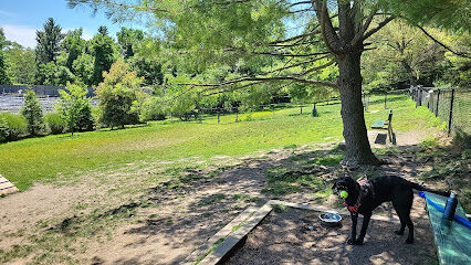 Grass Island Dog Park
