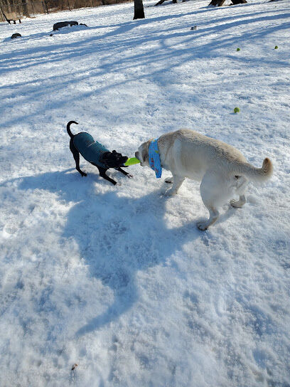Guilford Dog Park