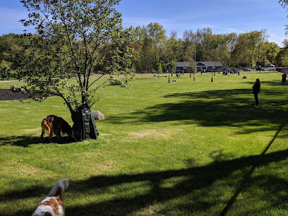 Eisenhower Dog Park