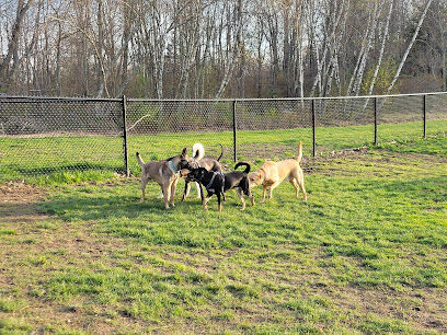 Andrew Mountain Park - Naugatuck Dog Park & Disk Golf Course
