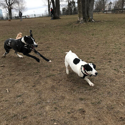 Spencer's Run