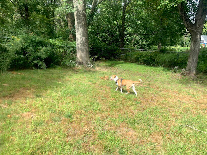 Edgewood Park Dog Park