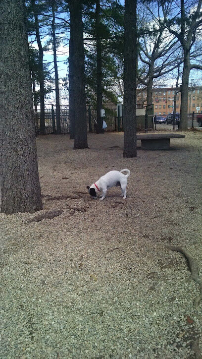 Union Street Dog Park