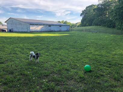 Northford Dog Park