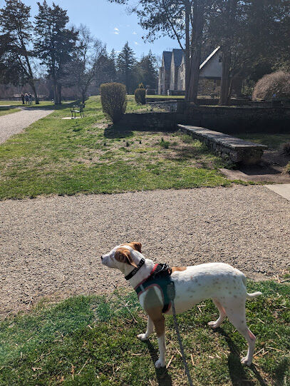 Cranbury dog park