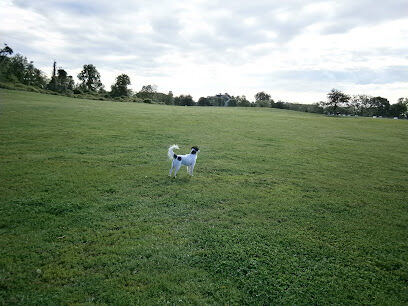 Taylor Farm Dog Park
