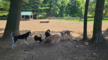 Bark Park Dog Park