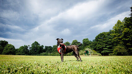 Southbury Dog Park