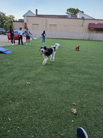 Harbor Point Dog Park