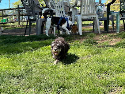 Stamford Dog Park
