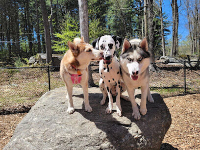 Jared's Dog Park