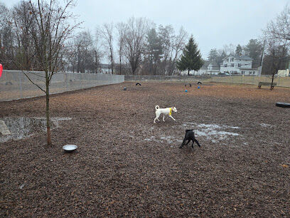 Saxony Dog Park