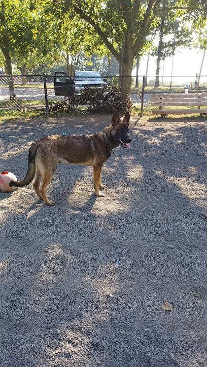 Veterans Memorial Dog Park