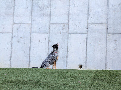 Bryant Street Dog Park