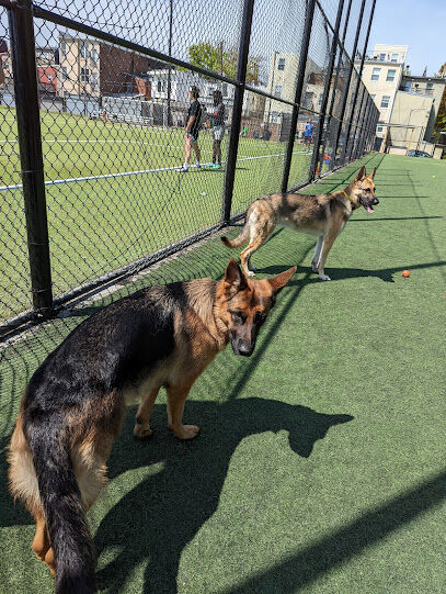 Bundy Dog Park