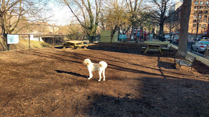 Dog Park