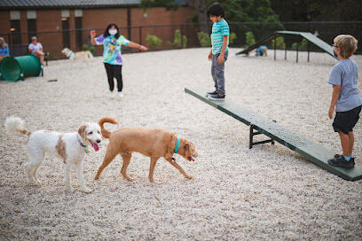 Dog Park at The Parks