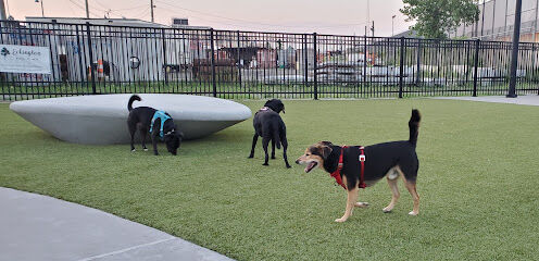 Eckington Dog Park