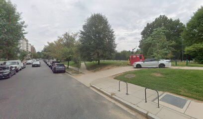 Francis Dog Park