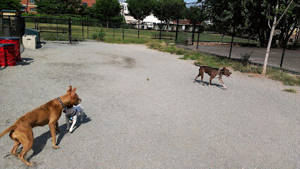 Kingsman Field Dog Park