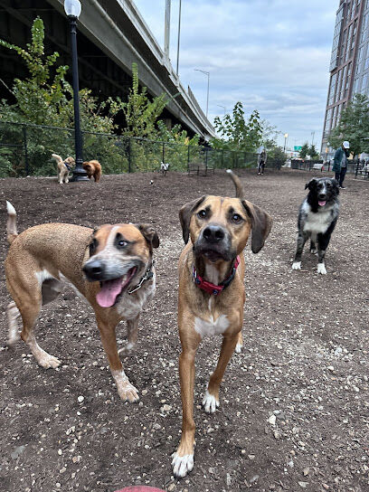 Navy Yard Dog Park