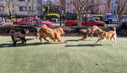 S Street Park