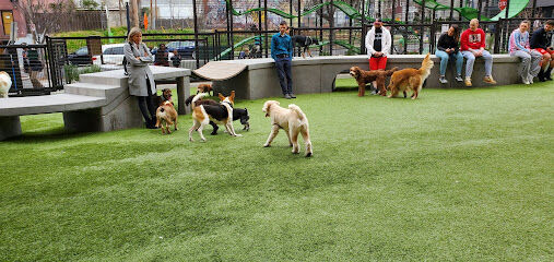 Swampoodle Dog Park & Playground