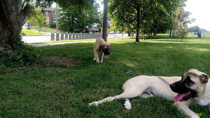 Takoma Dog Park