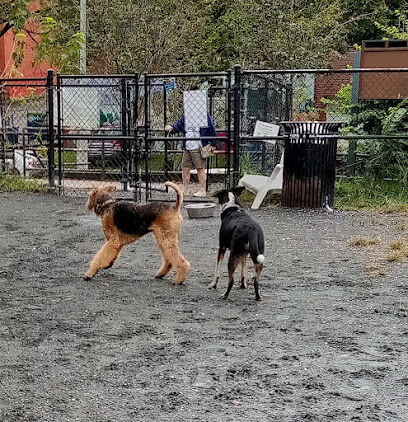 Upshur Dog Park