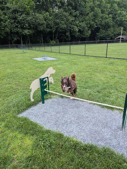 Schutte Dog Park