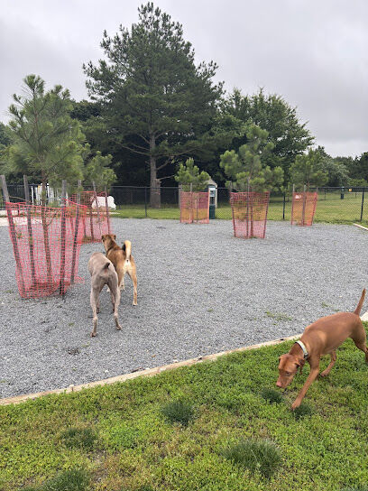 Lewes Unleashed Dog Park Private Park