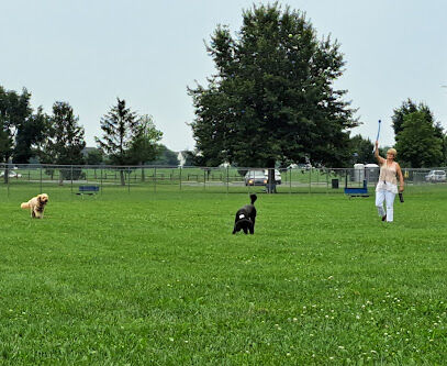 Charles E. Price Memorial Park Dog Park