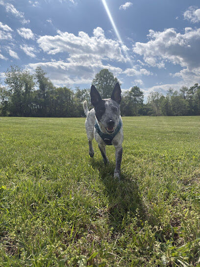 Bark Park