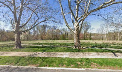 Brandywine Dog Park