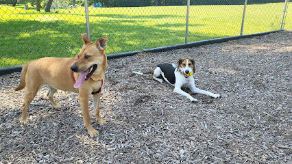 Dog park @ River Road Park