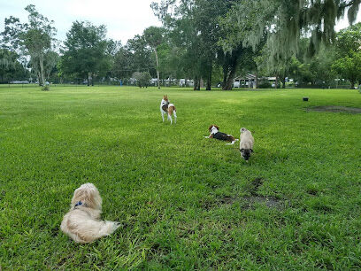 Doctors' Dog Park
