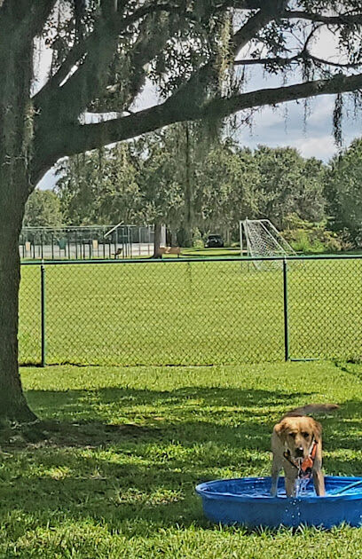 Greenbrook Adventure Dog Park (Members Only)